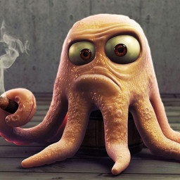 cute love emotions petsandanimals octopus